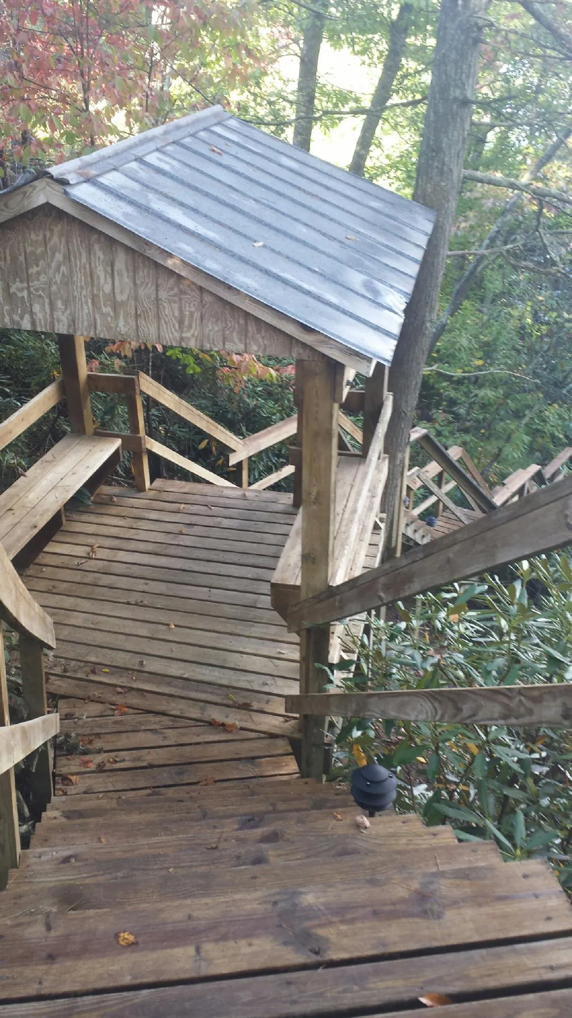 Metal roofed shelter over wooden steps on a wooded walkway — Skylight Repair & Installation work by our crew in Alvo